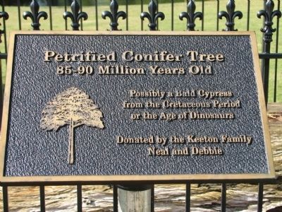 Petrified Conifer Tree Marker image. Click for full size.
