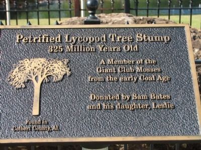 Petrified Lycopod Tree Stump Marker image. Click for full size.