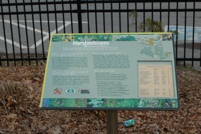 MaryLandscapes Marker. Click for full size. MaryLandscapes Marker image. Click for full size.