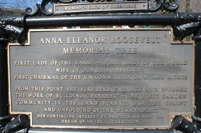 Eleanor Roosevelt Memorial Tree Marker. Click for full size. Eleanor Roosevelt Memorial Tree Marker image. Click for full size.