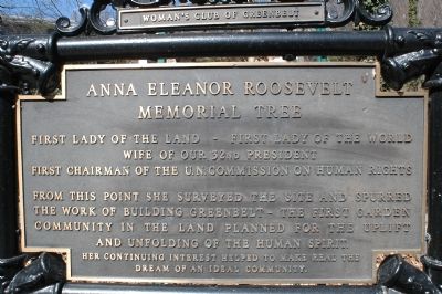 Eleanor Roosevelt Memorial Tree Marker image. Click for full size.