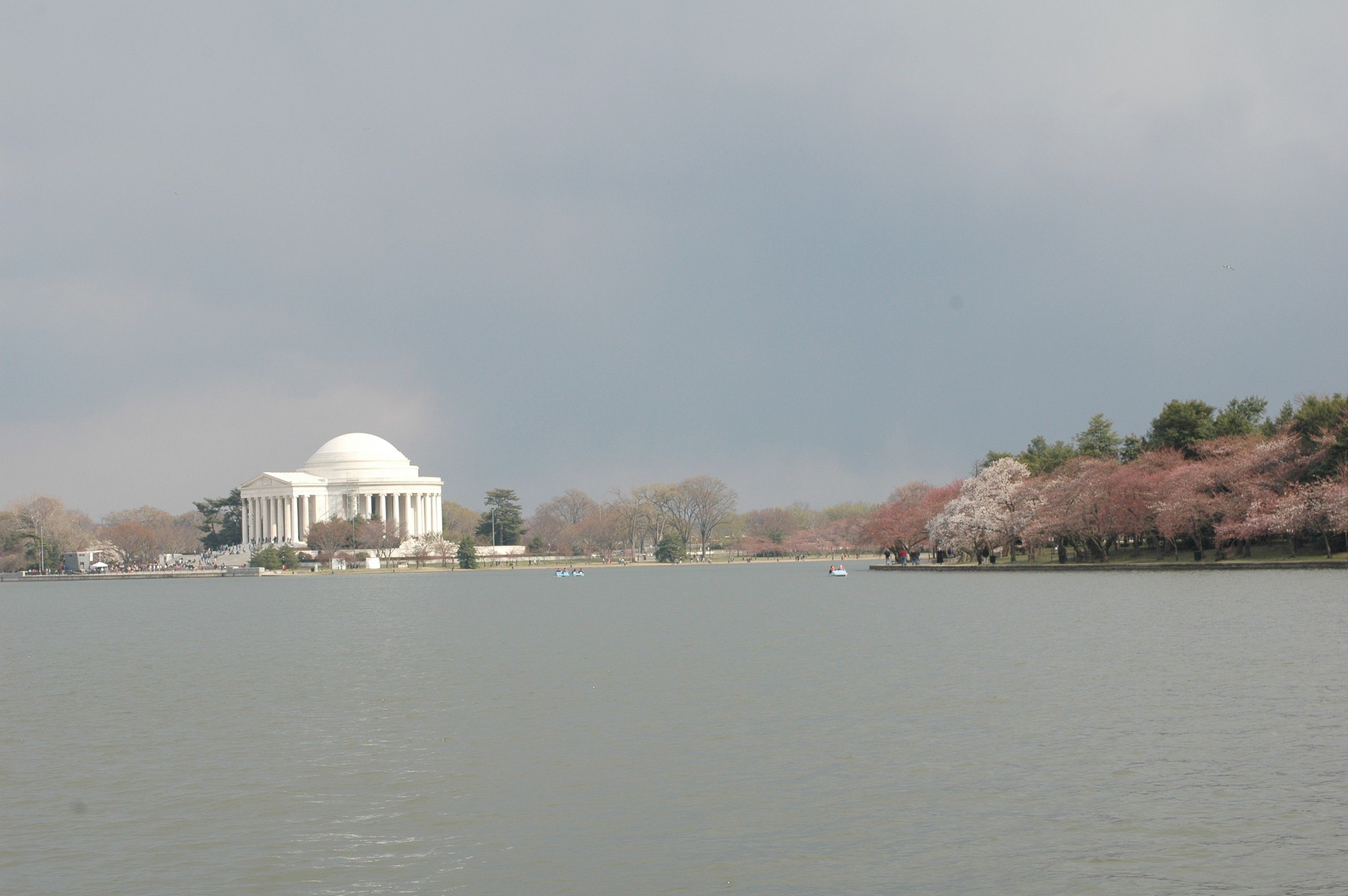 The Jefferson Memorial Across the Tidal Basin