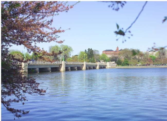 Kutz Bridge Across the Tidal Basin image. Click for full size.