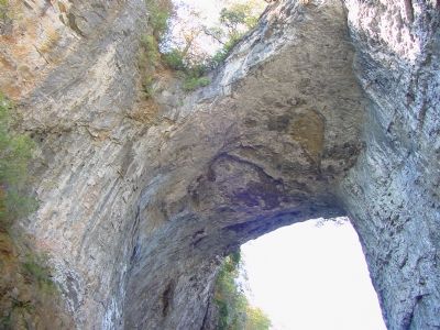 Under Natural Bridge Looking Up image. Click for full size.