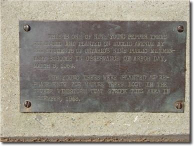 Nine Young Pepper Trees Marker image. Click for full size.