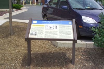 The Curious Descend on Manassas for Curios Marker. Click for full size. The Curious Descend on Manassas for Curios Marker image. Click for full size.