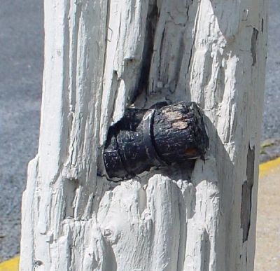 Federal Shell Embedded in Post image. Click for full size.