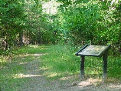 "The Unfinished Railroad" Marker. Click for full size. "The Unfinished Railroad" Marker image. Click for full size.