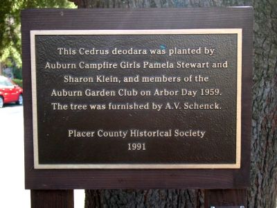 Plaque on Tree Next to Marker image. Click for full size.