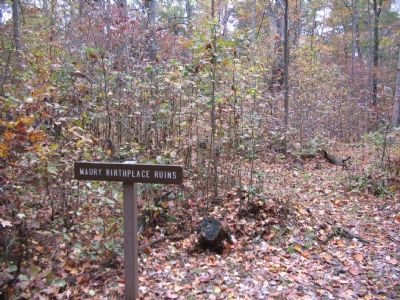 Maury Birthplace Ruins. Click for full size. Maury Birthplace Ruins image. Click for full size.