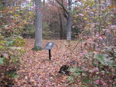 Maury Birthplace Ruins. Click for full size. Maury Birthplace Ruins image. Click for full size.