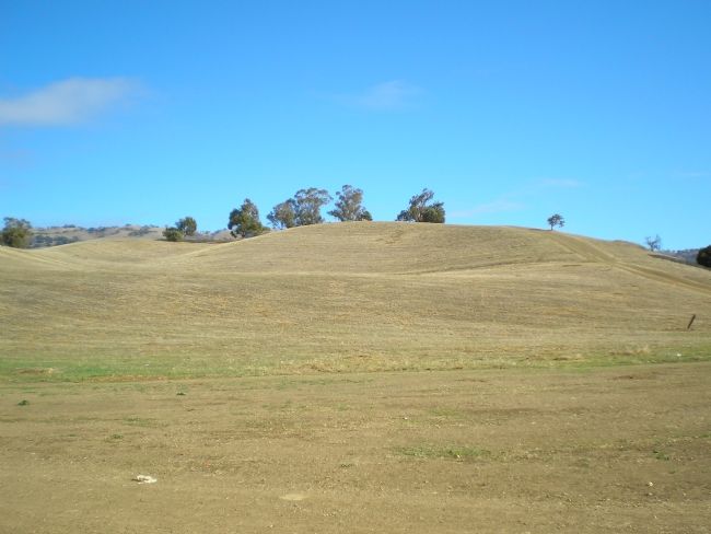 Montgomery Hill image. Click for full size.