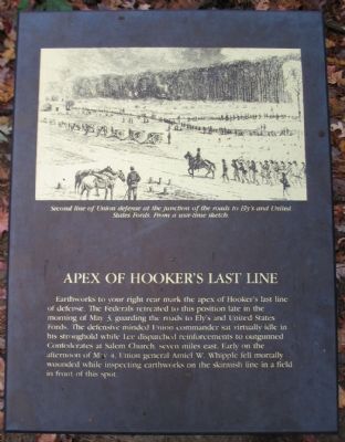 Apex of Hooker's Last Line Marker image. Click for full size.