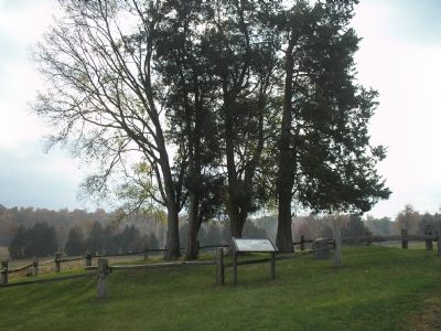 Lacy family cemetery at Ellwood. image. Click for full size.