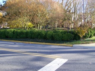 Boxwood Garden from a distance image. Click for full size.