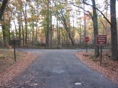 Intersection of the Flank Trail and Brock Road image. Click for full size.