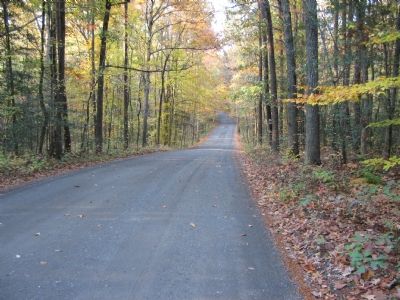 The Woodland Trail. Click for full size. The Woodland Trail image. Click for full size.