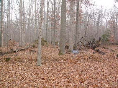 Signs identify this area and the nearby Confederate Trenches as part of Jackson's Line. Click for full size. Signs identify this area and the nearby Confederate Trenches as part of Jackson's Line image. Click for full size.