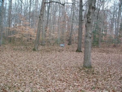 Signs identify surviving Confederate Trenches nearby as part of McLaw's Division. Click for full size. Signs identify surviving Confederate Trenches nearby as part of McLaw's Division image. Click for full size.