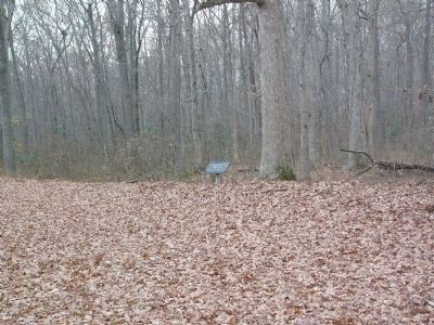 Signs identify surviving Confederate Trenches nearby as part of McLaw's Division. Click for full size. Signs identify surviving Confederate Trenches nearby as part of McLaw's Division image. Click for full size.