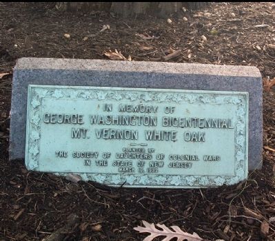 George Washington White Oak Marker. Click for full size. George Washington White Oak Marker image. Click for full size.