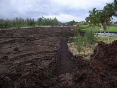 The Waikoloa Petroglyph Field image. Click for full size.