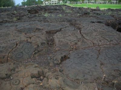 The Waikoloa Petroglyph Field image. Click for full size.