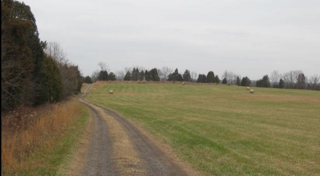 Looking North along the Farm Lane image. Click for full size.