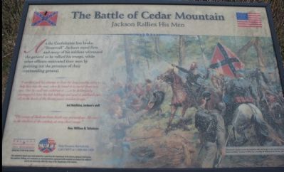 The Battle of Cedar Mountain Marker image. Click for full size.