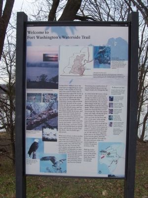 Fort Washington's Waterside Trail. Click for full size. Fort Washington's Waterside Trail image. Click for full size.