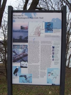 Fort Washington's Waterside Trail image. Click for full size.