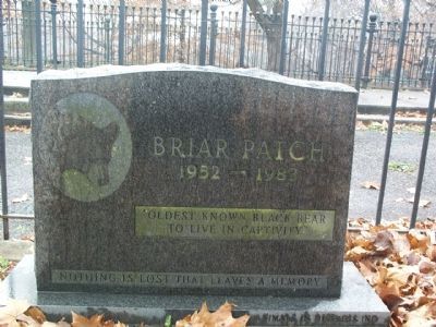 Briar Patch Marker image. Click for full size.