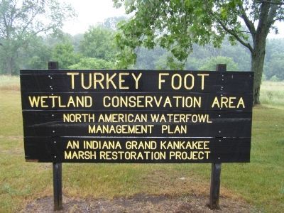 Turkey Foot Wetland Conservation Area image. Click for full size.