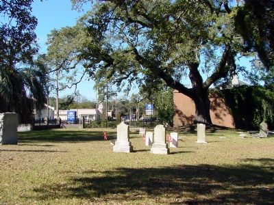 Antipedo Baptist Cemetery. Click for full size. Antipedo Baptist Cemetery image. Click for full size.