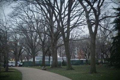 Several of the President's Trees image. Click for full size.