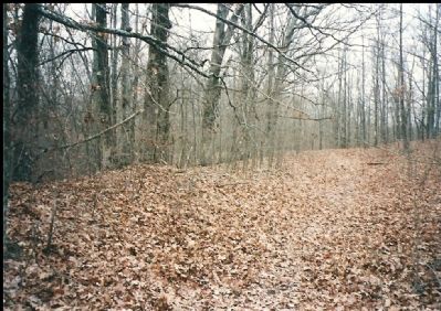 Chalk Bluff. Click for full size. Chalk Bluff image. Click for full size.