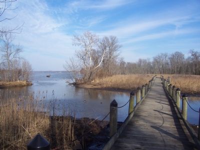 Boardwalk across wetland at Accokeek Creek. Click for full size. Boardwalk across wetland at Accokeek Creek image. Click for full size.