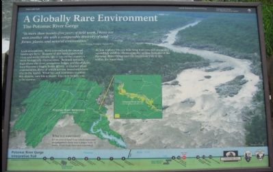 A Globally Rare Environment Marker image. Click for full size.