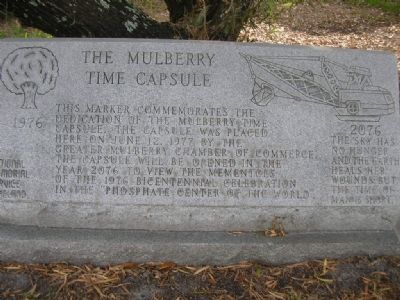 The Mulberry Time Capsule Marker image. Click for full size.