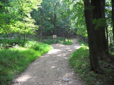 The Trail Split image. Click for full size.