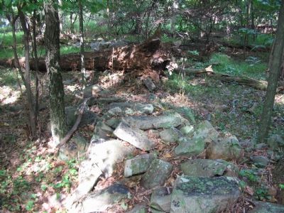Debris Stones. Click for full size. Debris Stones image. Click for full size.
