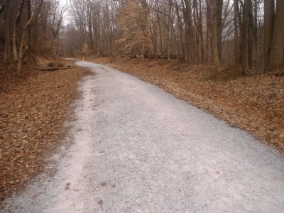 Picture from the Columbia Trail image. Click for full size.
