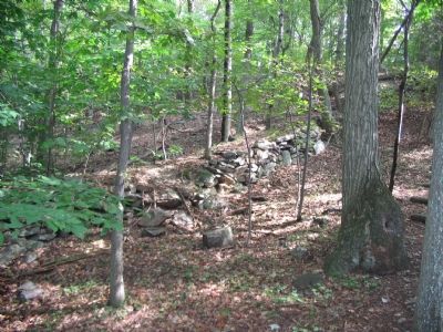 Civil War Fortification Ruins image. Click for full size.