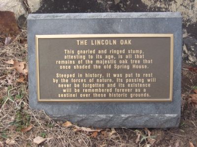 The Lincoln Oak Marker. Click for full size. The Lincoln Oak Marker image. Click for full size.