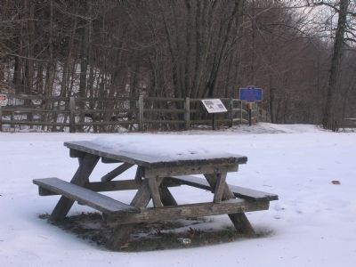Tory Cave marker in Thacher Park picnic area image. Click for full size.