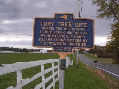 Tory Tree Site image. Click for full size.