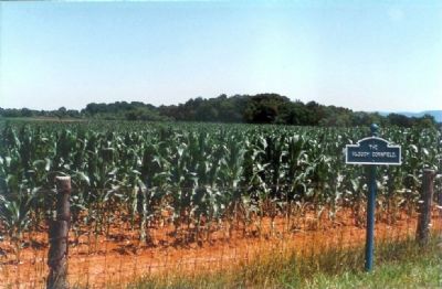 The Bloody Cornfield as it Looked in the 1990s image. Click for full size.