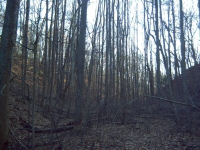 The Cut; View is Looking South toward the Marker image. Click for full size.