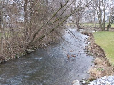 Carter's Run image. Click for full size.