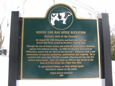 Round Oak Rag Apple Elevation Marker image. Click for full size.